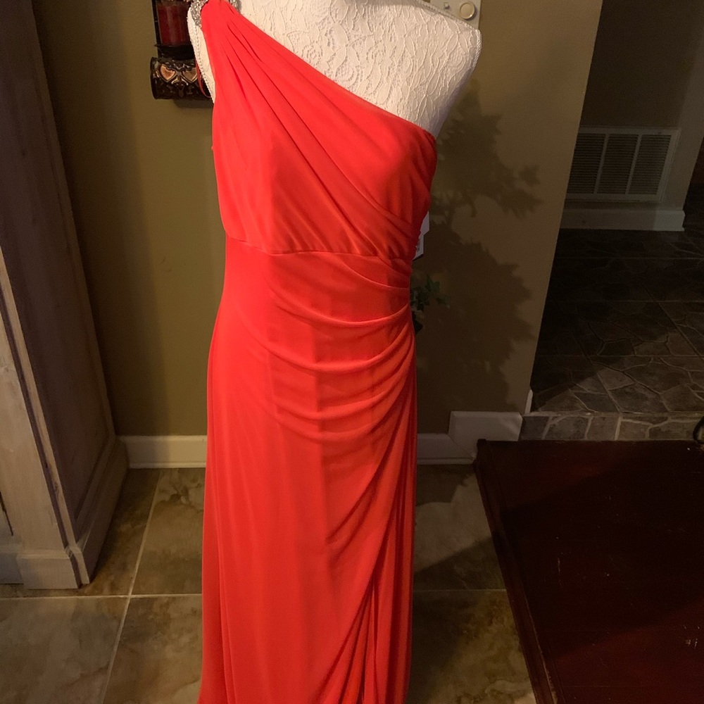 Lady In Red!! - Picture 5 of 5